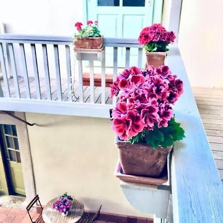Apartmán Dobre Casy - Ii *