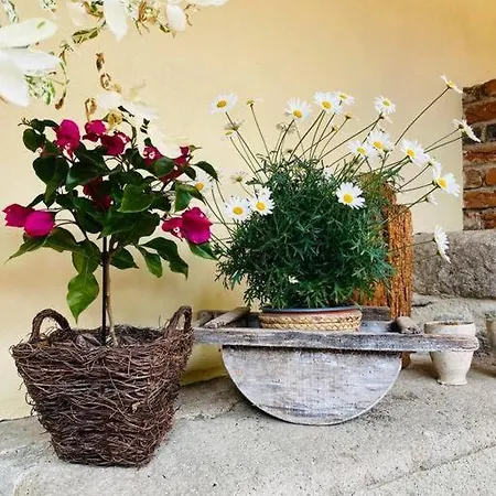 Dobre Casy - Ii Apartment Banska Stiavnica